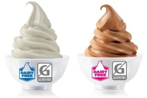 Diary Free Frozen Yogurt