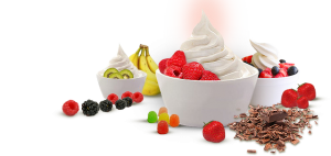 Frozen Yogurt Toppings